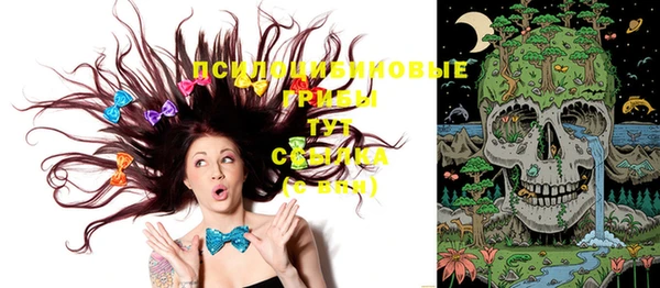 ешки Абинск