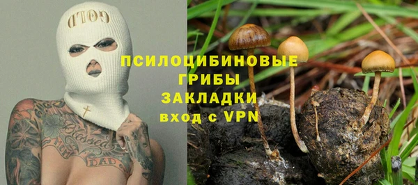 индика Алзамай