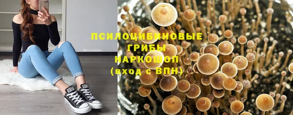 ешки Абинск