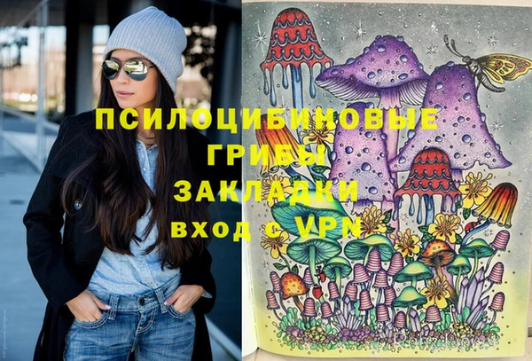 ешки Абинск